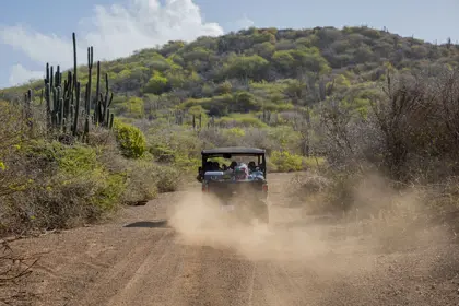 1730384711877_DLN_Bandabou_3